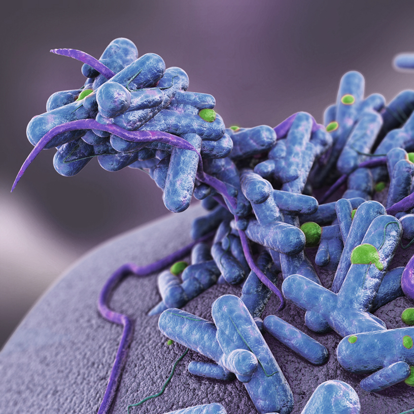 Picture of germs