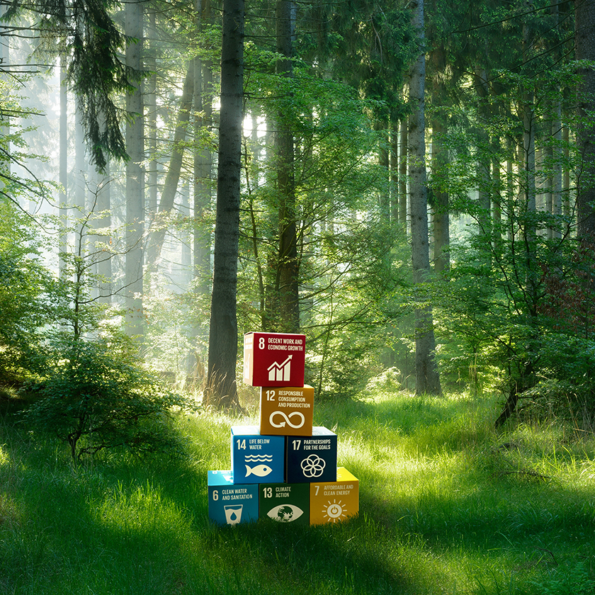 Image And Text 840X840 SDG