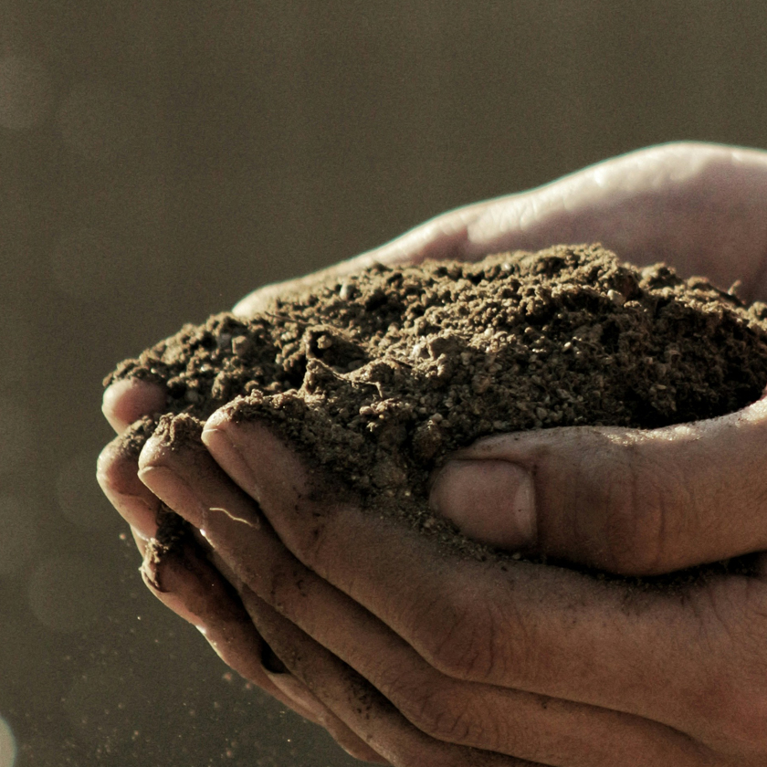 Hands Soil 840X840