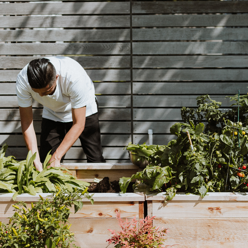 Garden Chef Image And Text 840X840