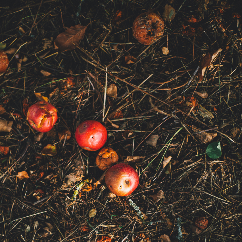 Composting Image And Text 840X840